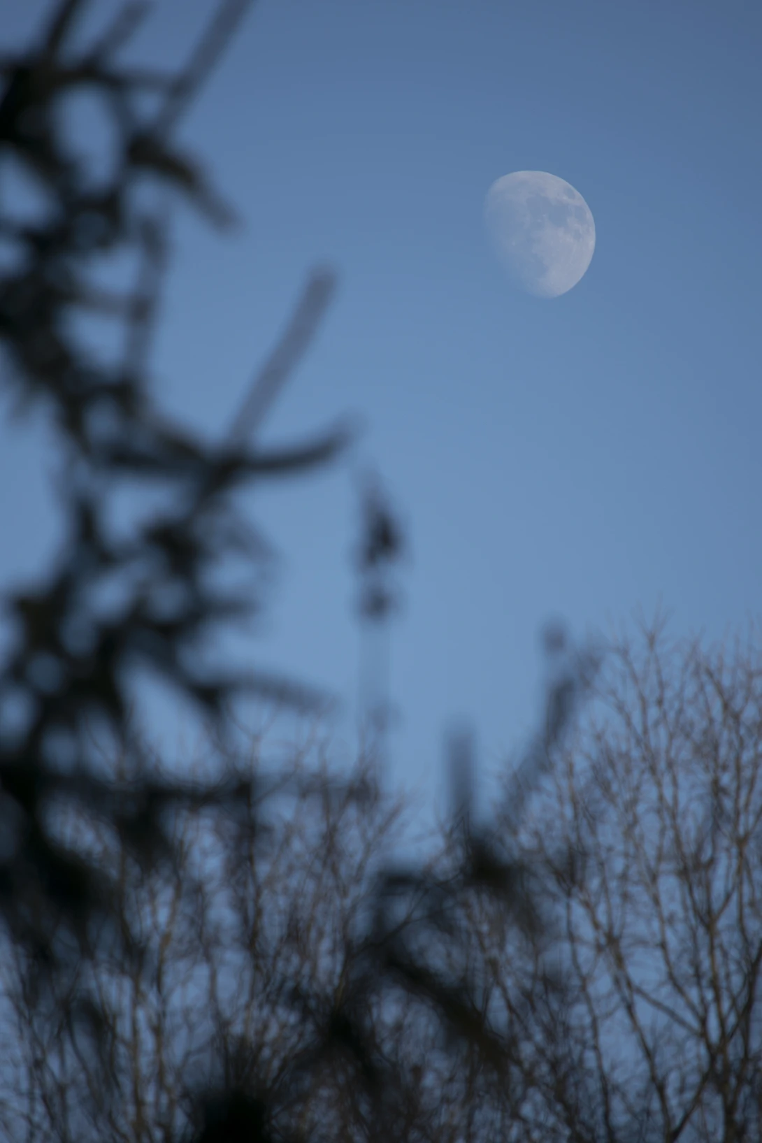 View fbdc5b8fa29fadc2a68f871f50678348.jpg by joseph cole