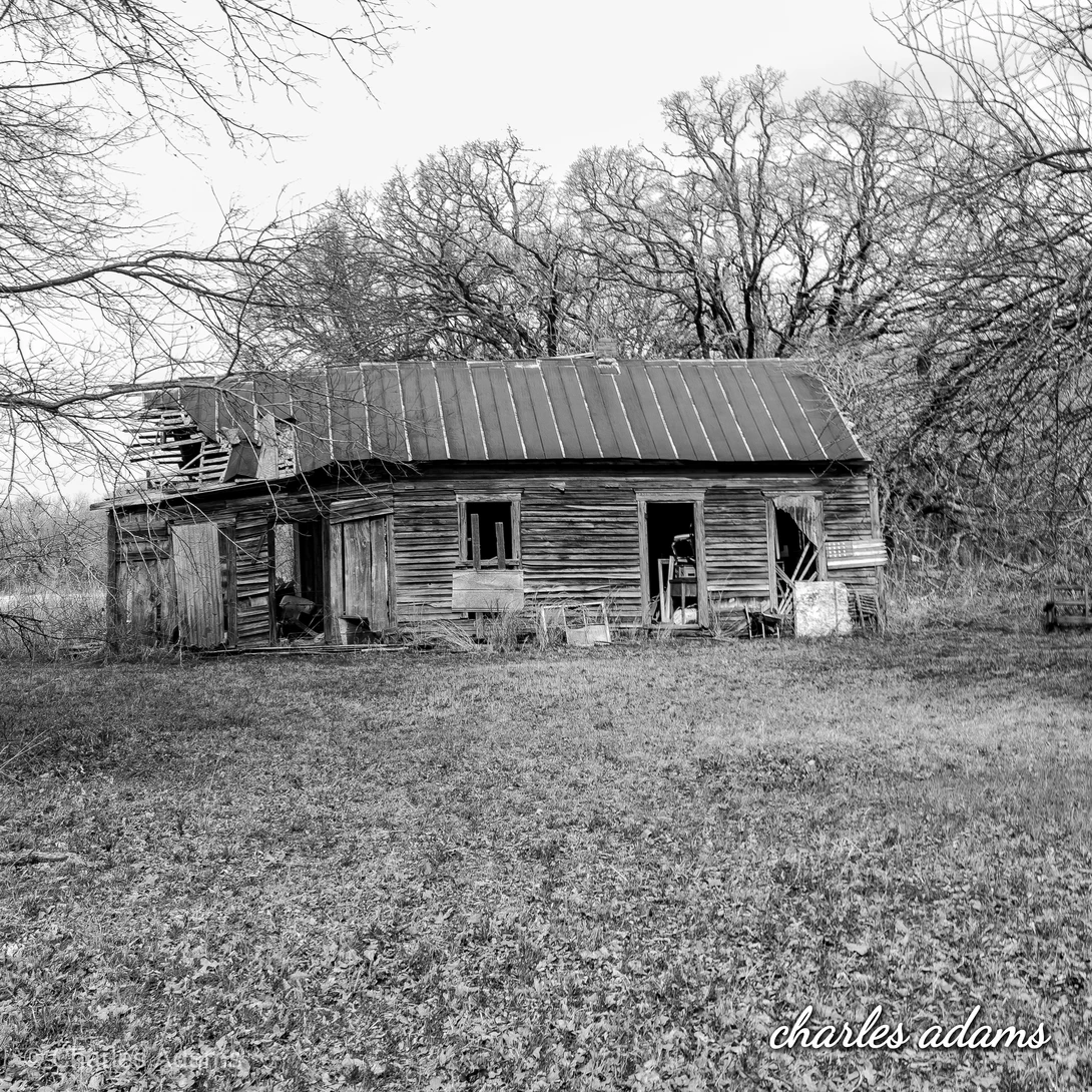 View 000f96fc3cfc632c78a4bf961934f7d9.jpg by charles adams