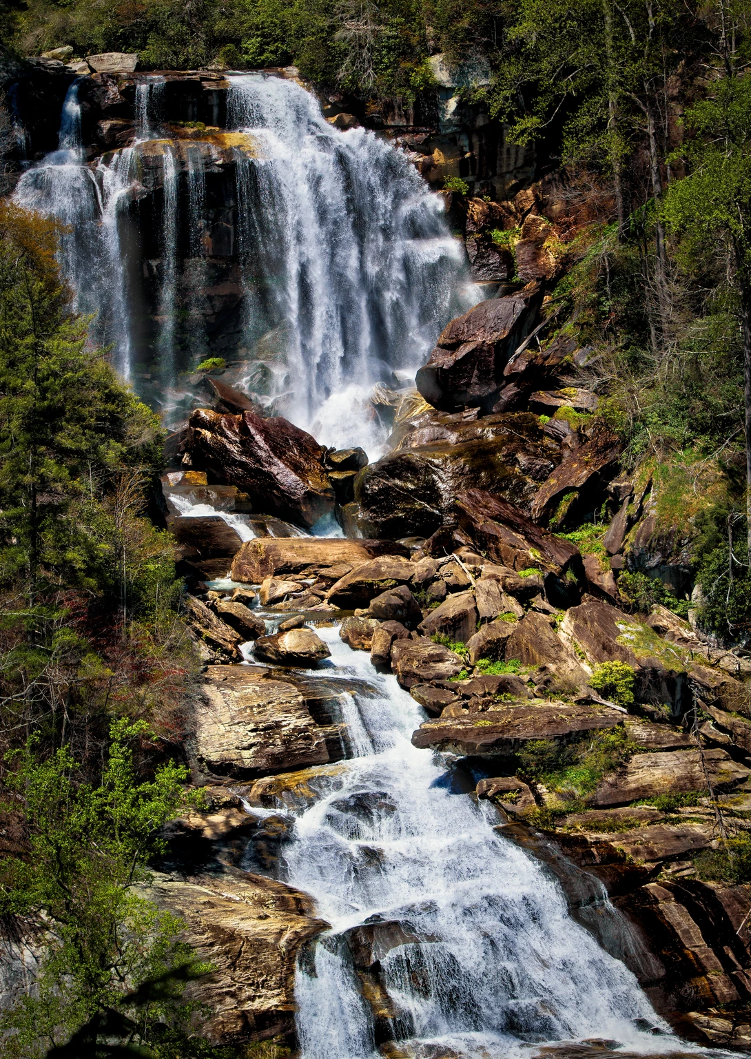View 00d53b63acacac81ac310047b11e4db5.jpg by Mark Guinn