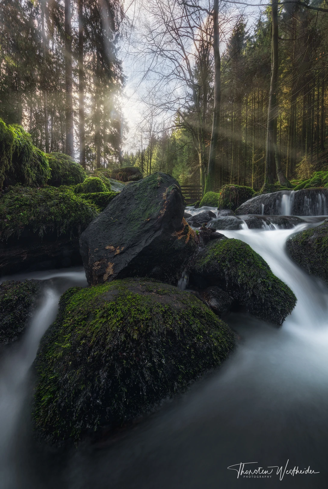 View Downstream I by Thorsten Westheider