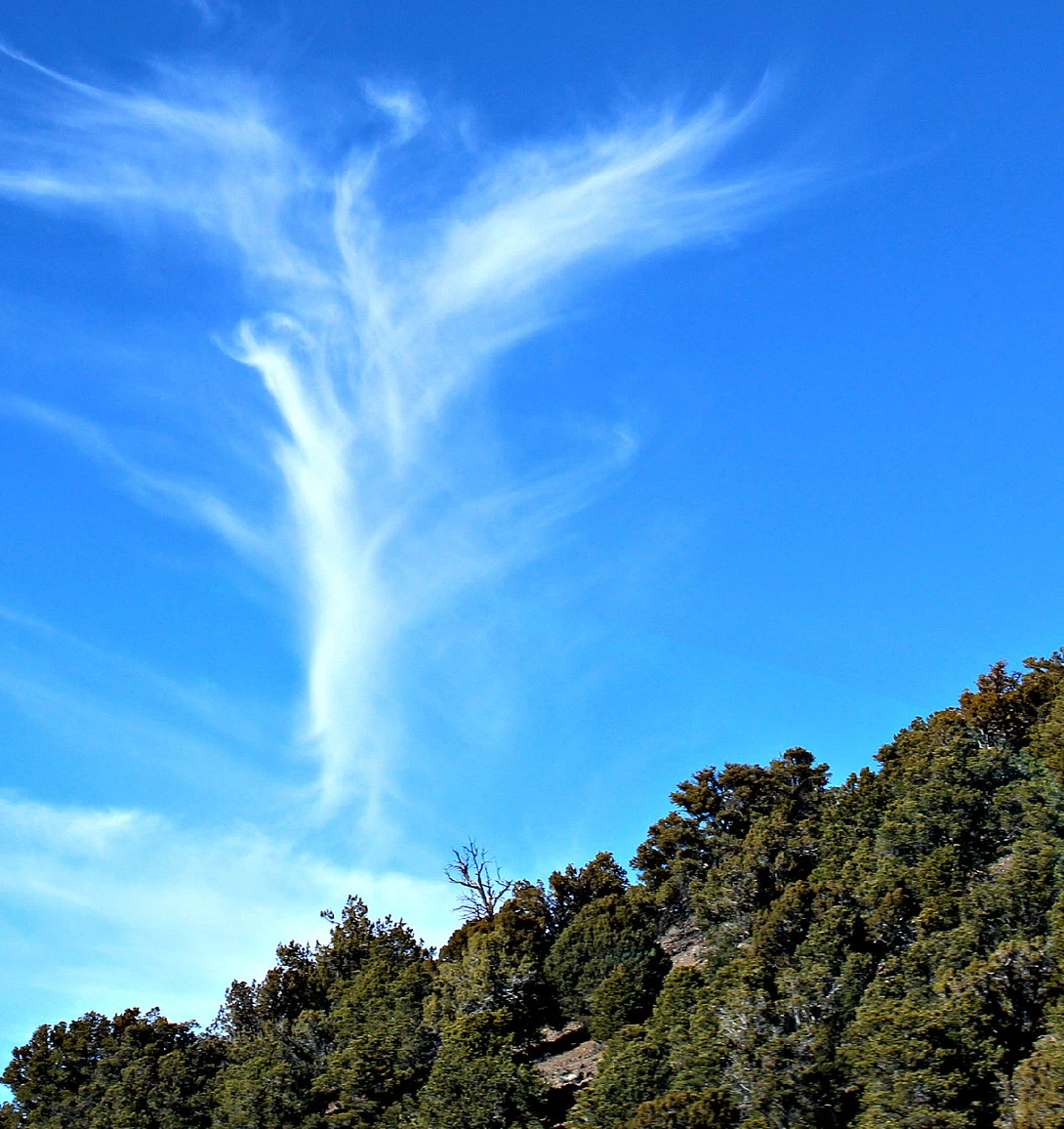 View 2f7c14c7d6c0108dddaf99c5cae89916.jpg by Elizabeth Yorick