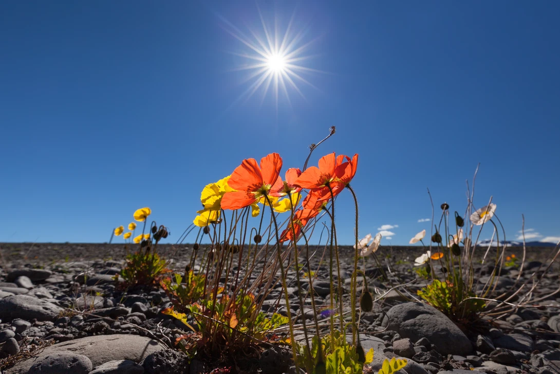 View 31bd0d77709ab5eec54c443382239a9c.jpg by Radisa Zivkovic