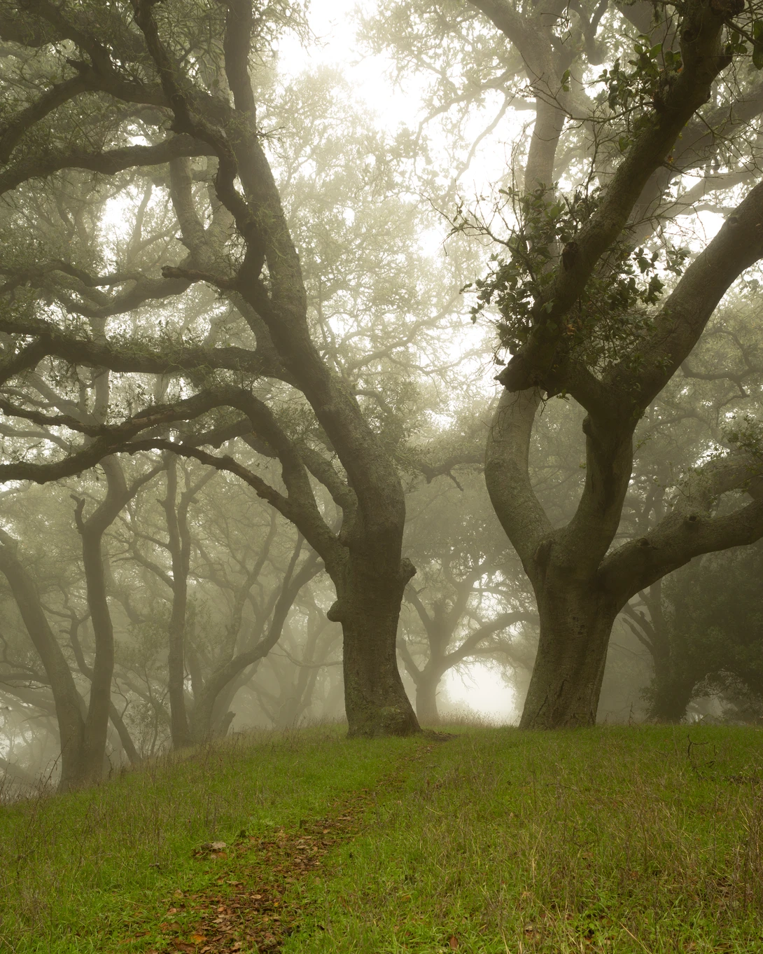 View 35f9c383858d45b6cff44c09fdbecb17.jpg by Walker Lambert