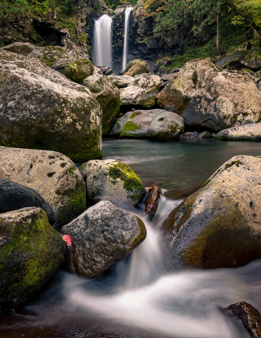 View 3eef8a5f2db7cc2702ee672fc2f13dba.jpg by Jordan McChesney