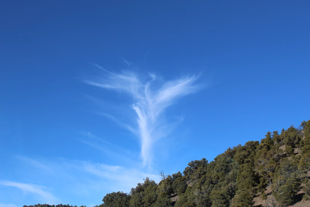 View 6921842b06555ef243f1092cd56fc5a1.jpg by Elizabeth Yorick