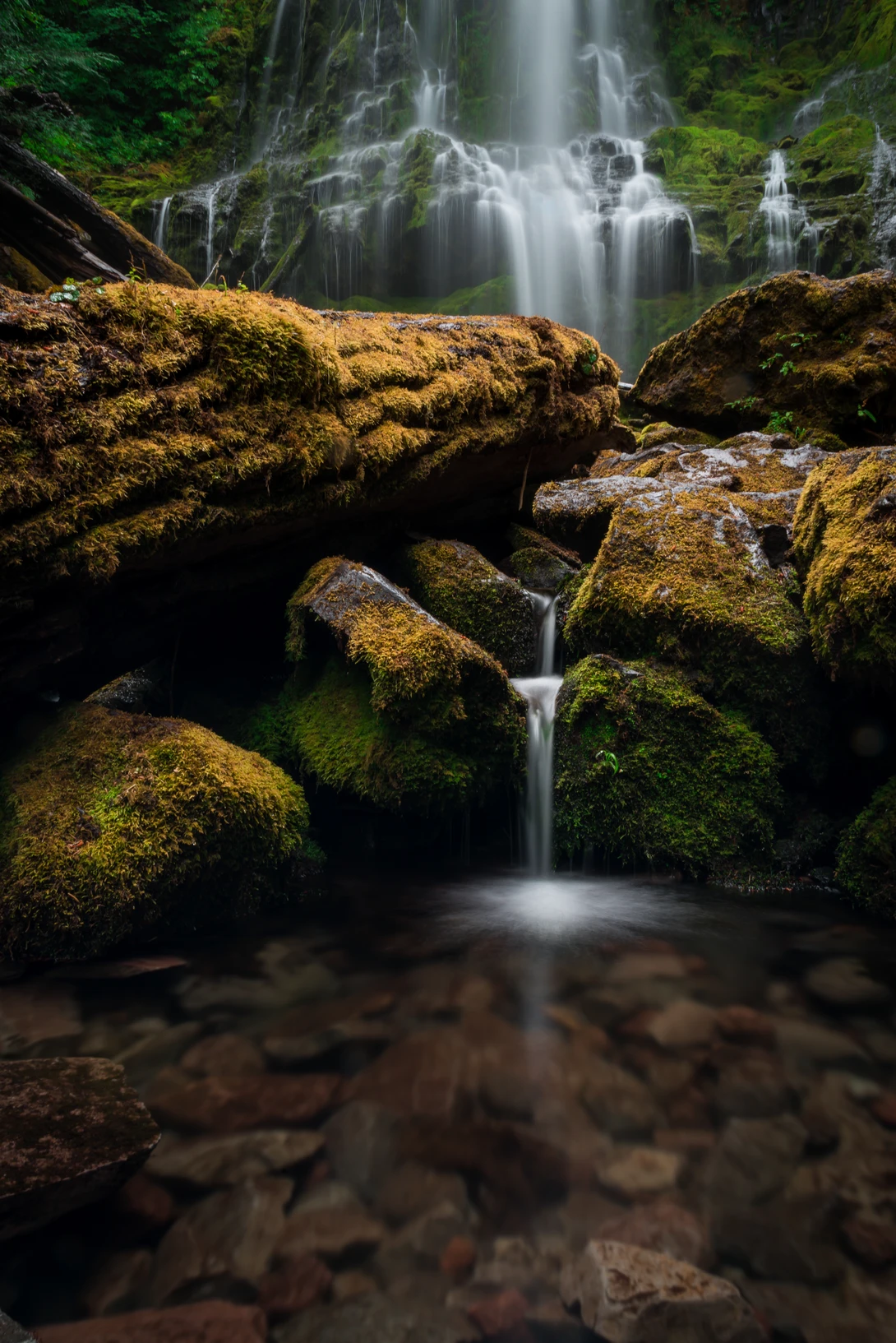View 857ebd7658e56c84a4dc65cc4453a305.jpg by Nick Wiltgen