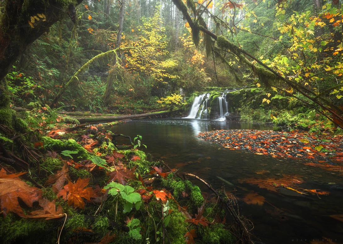 View 94027bd6fa063c488375863e0aae4f26.jpg by Jacob Klassen