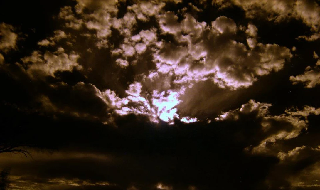 View c5ab0e9d59a538f17f560d3baaf081e7.jpg by Max Davis