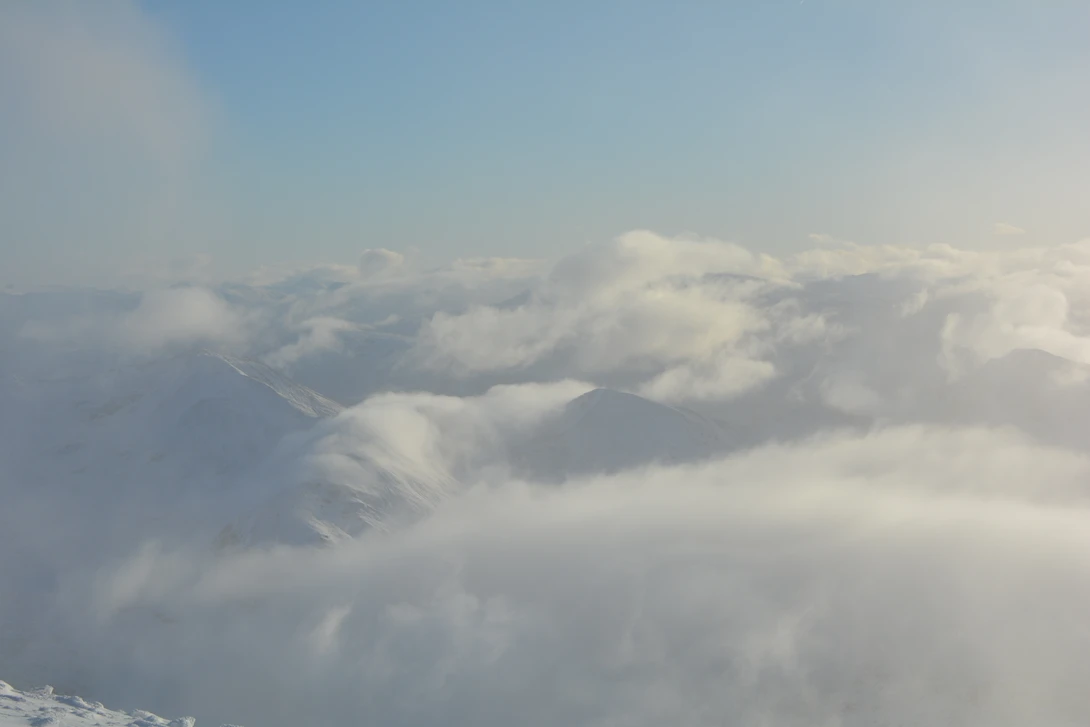 View e11f7b3bc9c6240dfc5da8cdeae1faf3.jpg by Kindred Willow