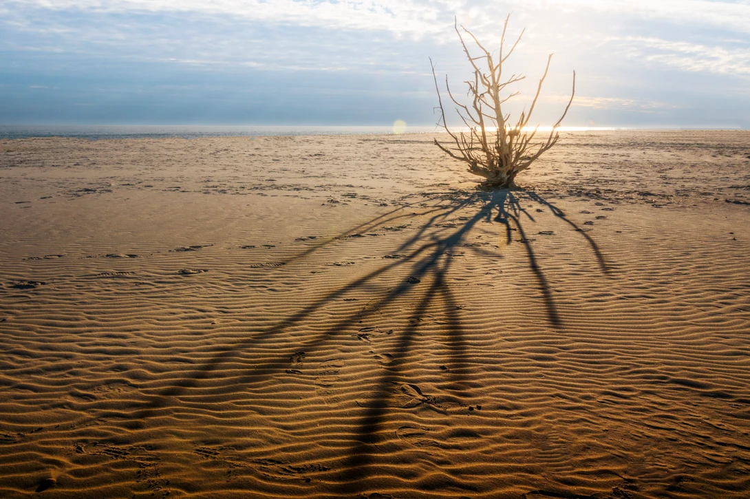 View ea73e1ce7835e6b26afc0e8cb3b1c94c.jpg by Kyle Foreman