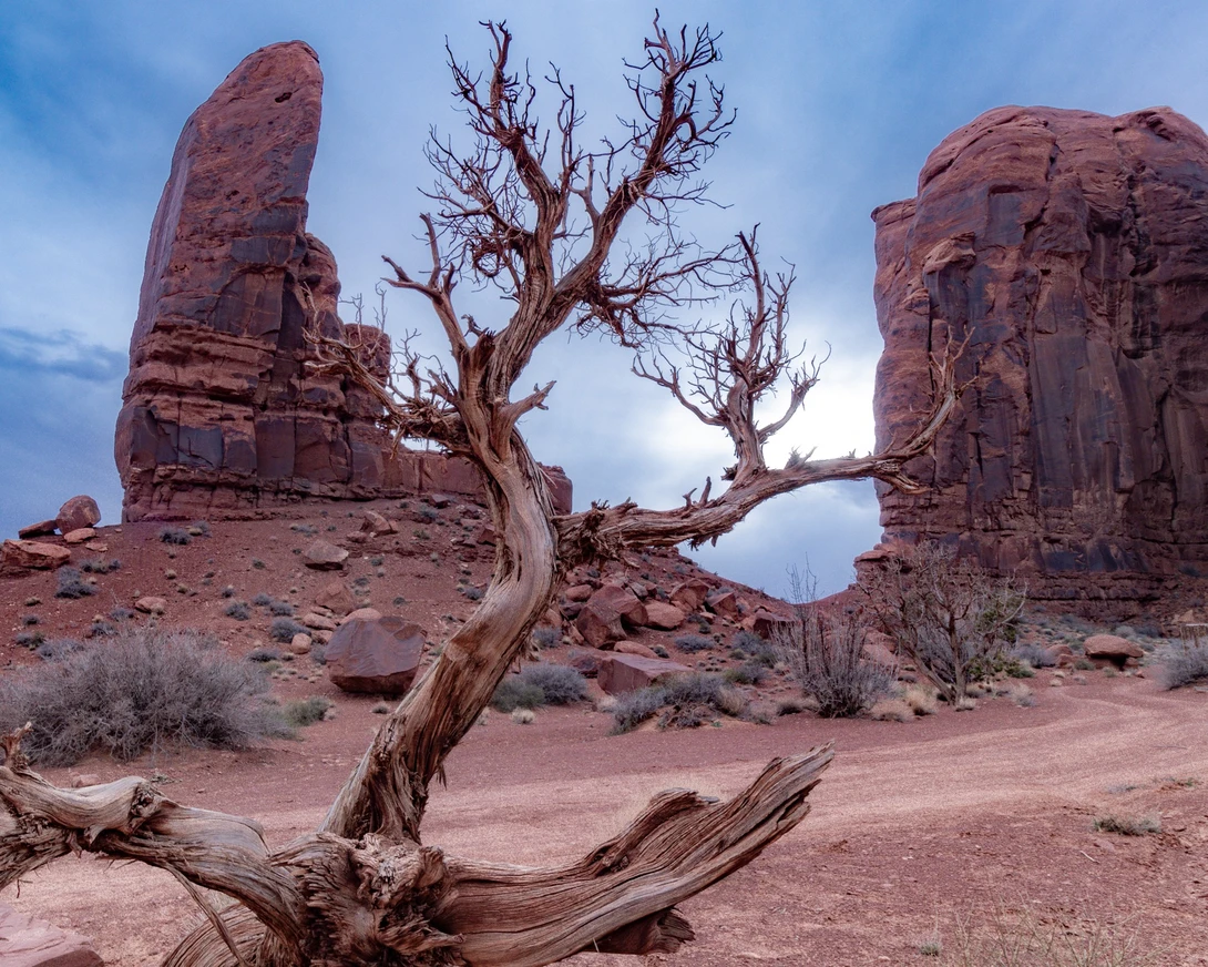 View 0b6a6e3459da209c68eb5ba6d2a6e4b2.jpeg by Jason Pfau