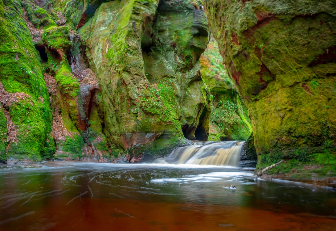 View The Devil's Pupit by cristian popa