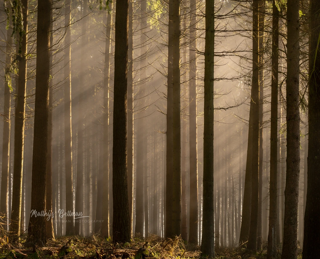 View 14f402ea9fcef22cb55769410e7abdeb.jpg by Matthijs Bettman
