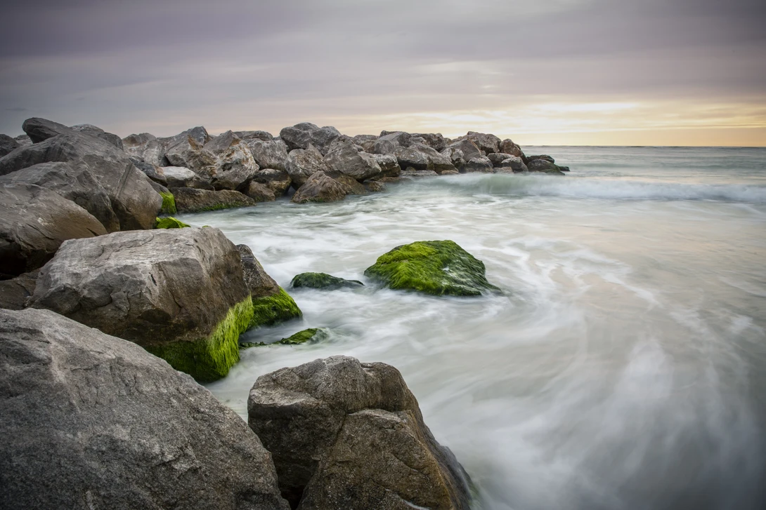 View 16dce8287854cd2e3e5eb3c68b4ef709.jpg by William Twitty