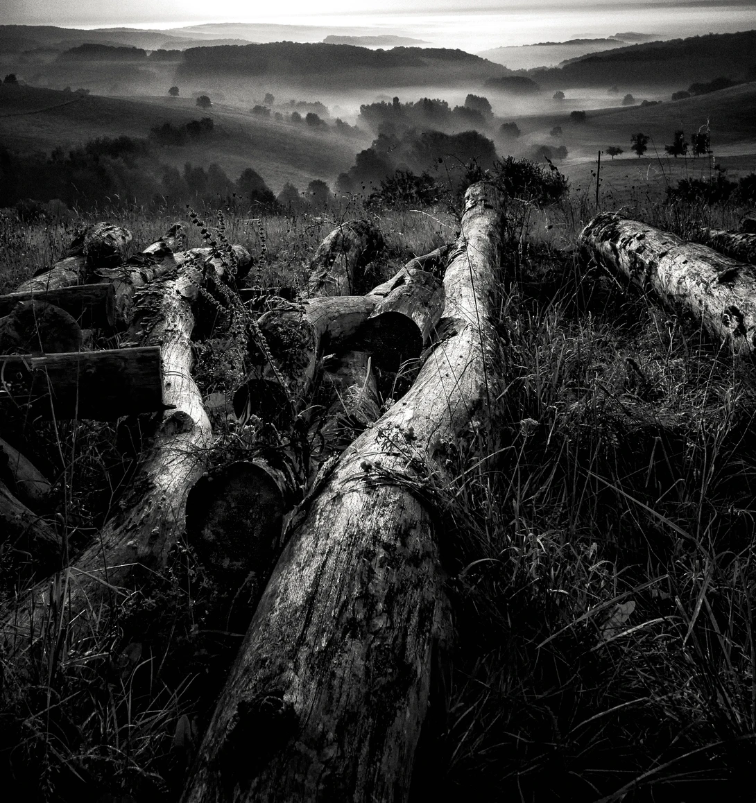 View 3f6adb75716b93f168cb464d189051ff.jpg by Mark Seawell