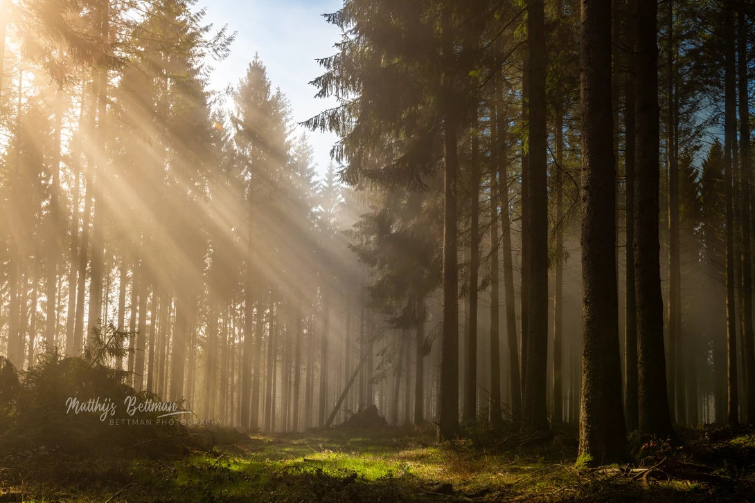 View 42ba11893e767ca0380169e43cd4afe7.jpg by Matthijs Bettman