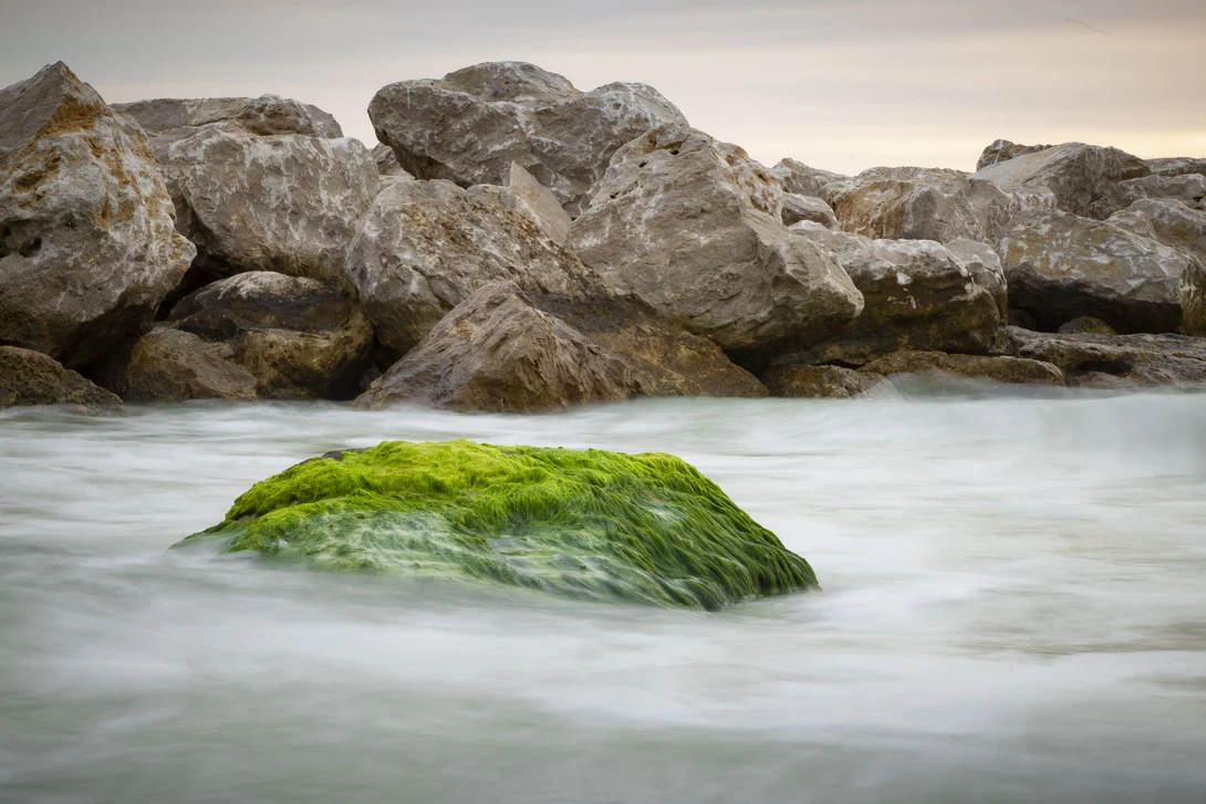 View 434290ac831f9ff2649e381f960af7df.jpg by William Twitty