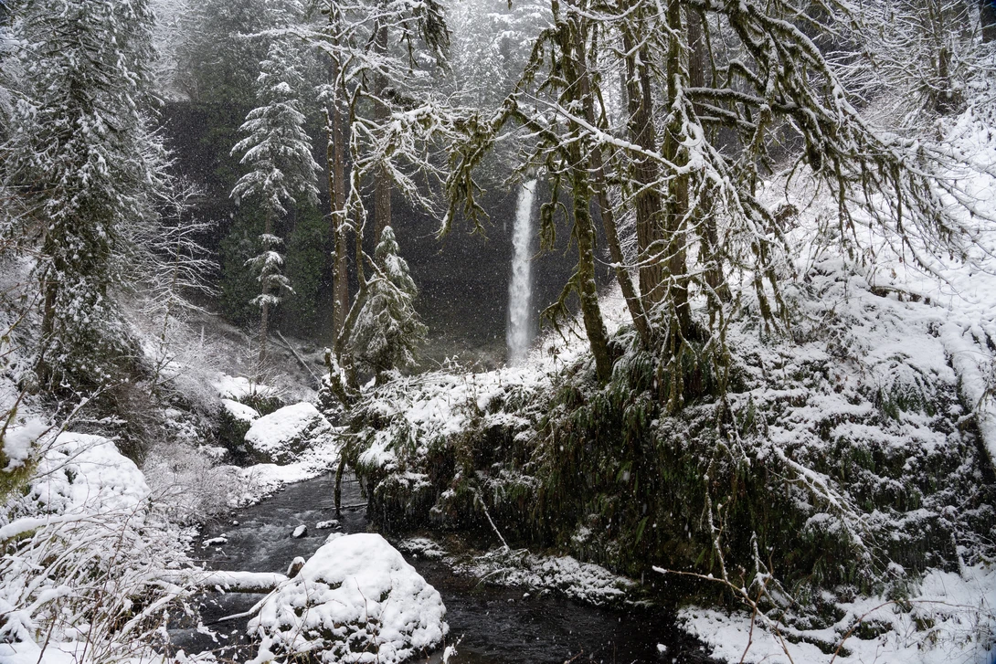View 5c72f1cc8f452489f3c03093bf5d7f3d.jpg by Dylan Zoebelein