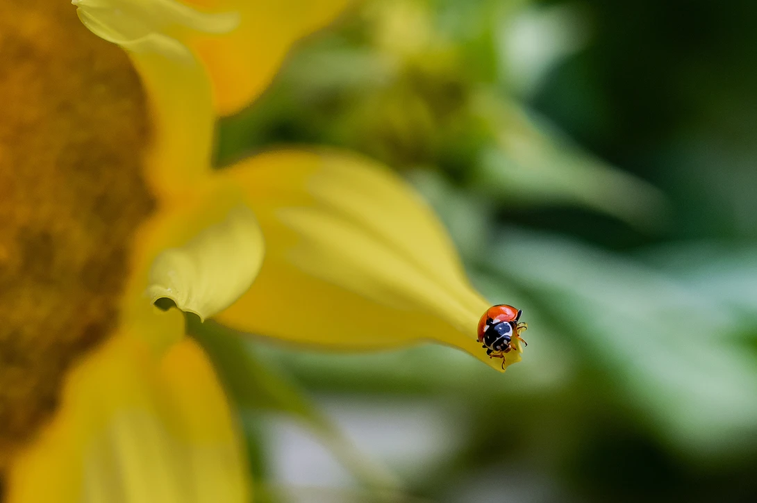 View 6513cc9ed7be5cfe880c3a7b460b9039.jpg by Jeremy Martignago