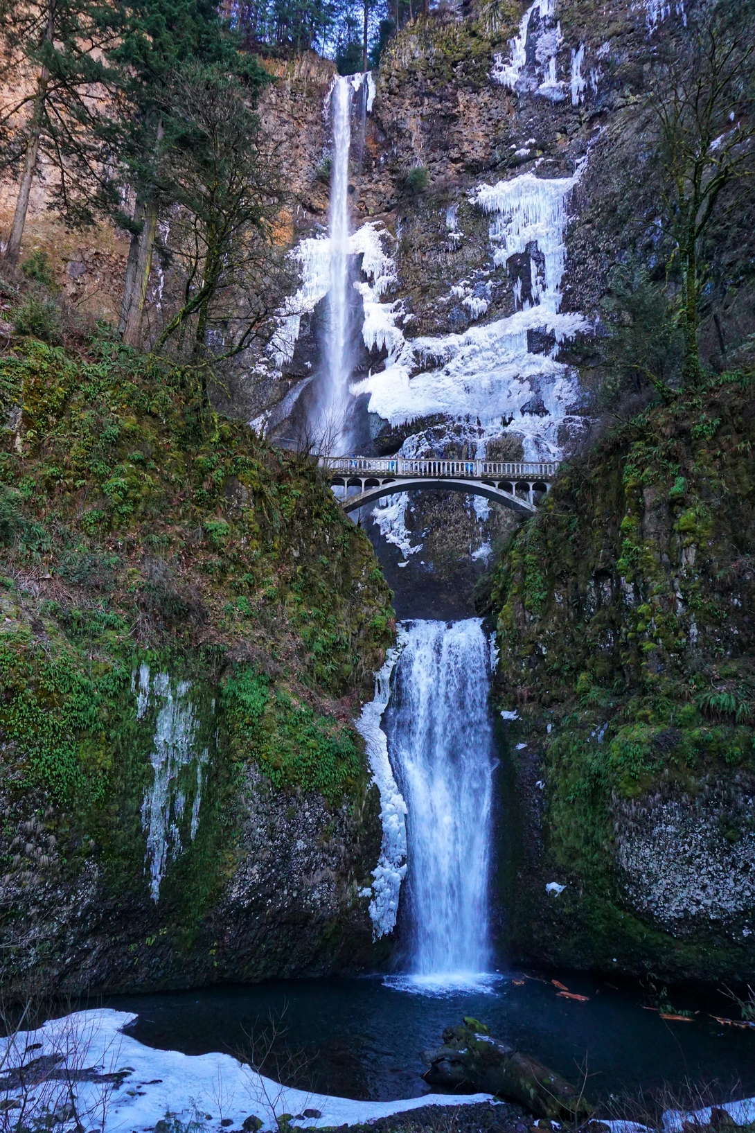 View 699cf3aa3173d2ddbb8329a854cea5b0.jpeg by Greg Hickman