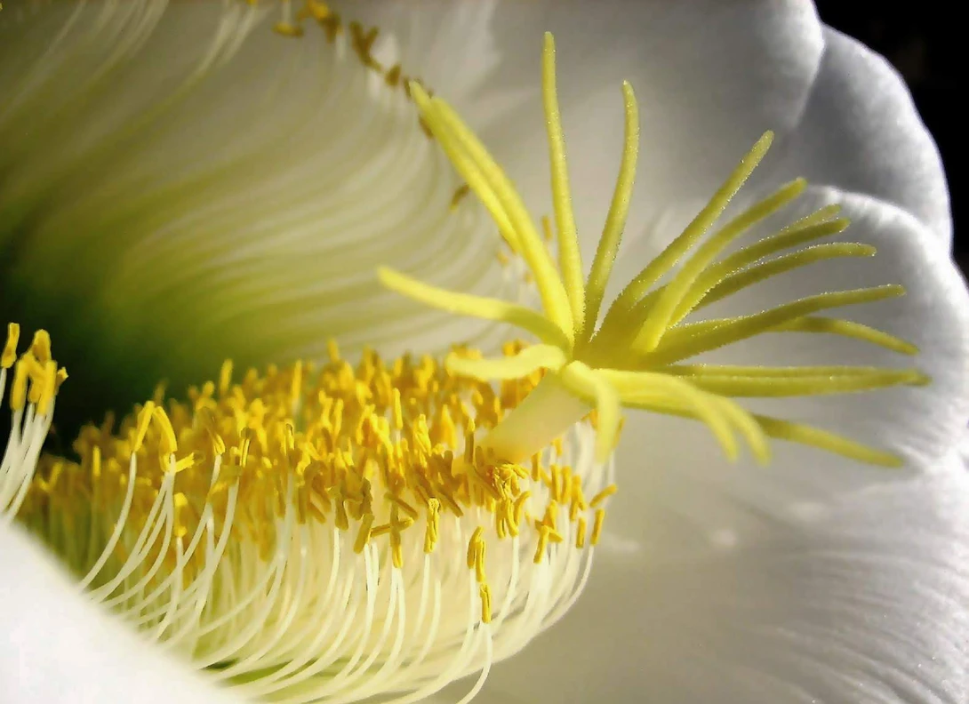View 722612c8ffc7a350a1b71168eaa2caa3.jpg by Ruth Carll