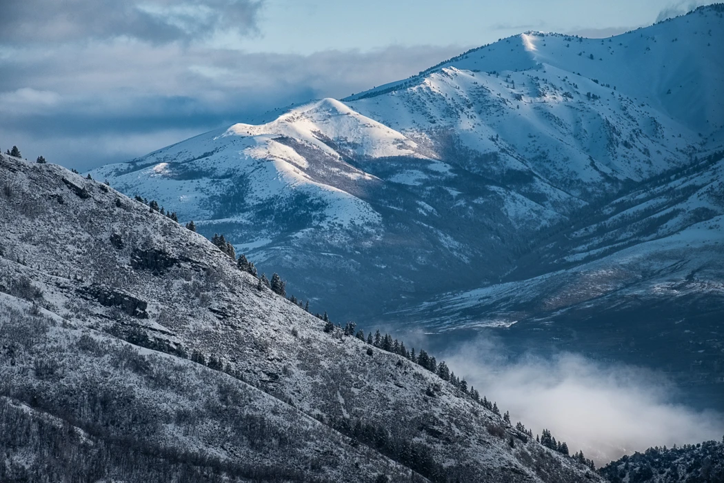 View 778b443066aa61a731809a638efe0ff1.jpg by Mark Seawell