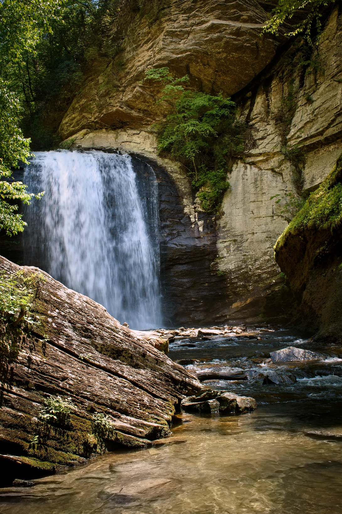 View 945baf450c4fe4033dd6cfbebc719a8c.jpg by Mark Guinn