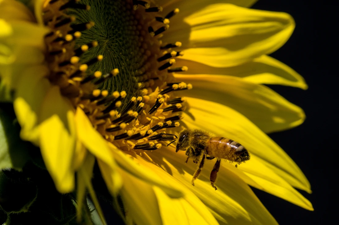 View a889b9a049898ac82ef9cea27d874d2a.jpg by Jeremy Martignago