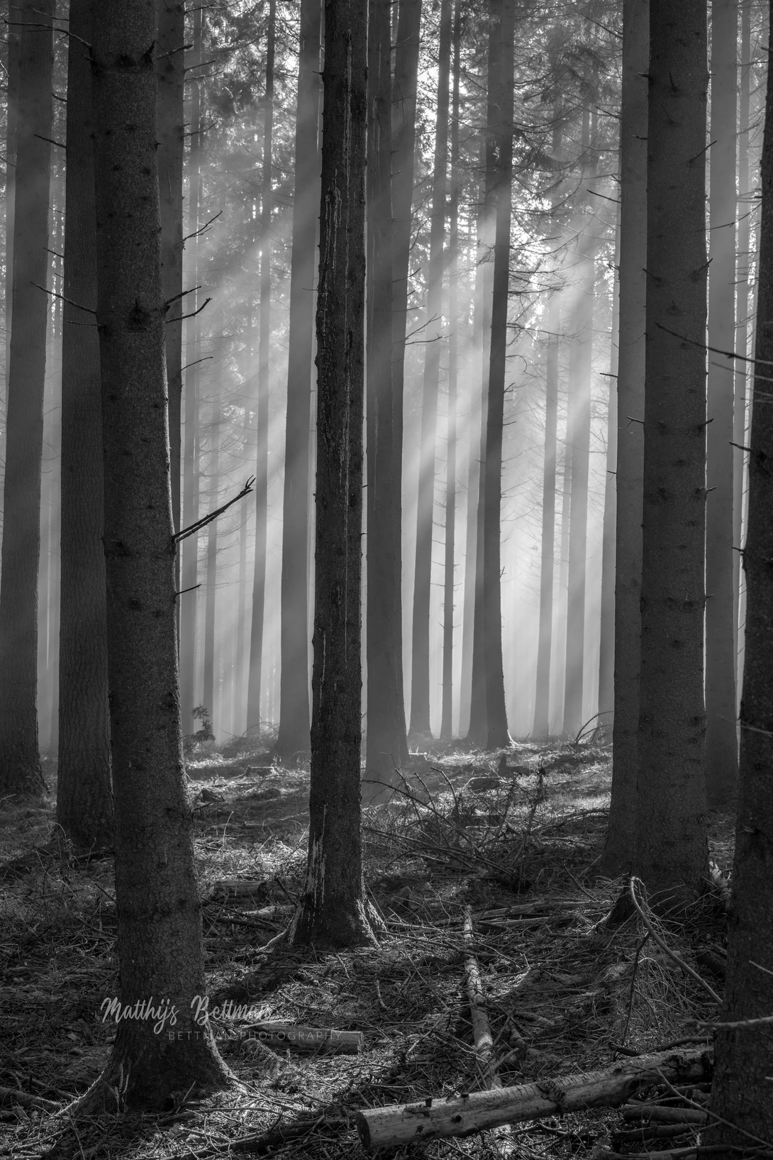View be0ab948ce481187896c8ed1f2df03e8.jpg by Matthijs Bettman