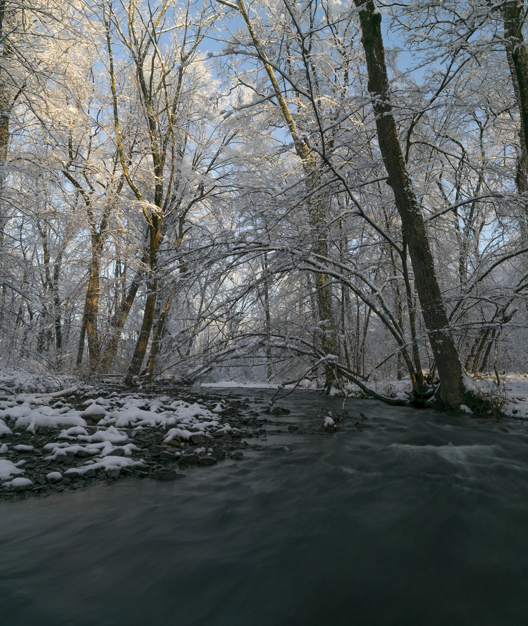 View ecff1b0796e6dbf8d0ef960d99cea6ce.jpg by joseph cole