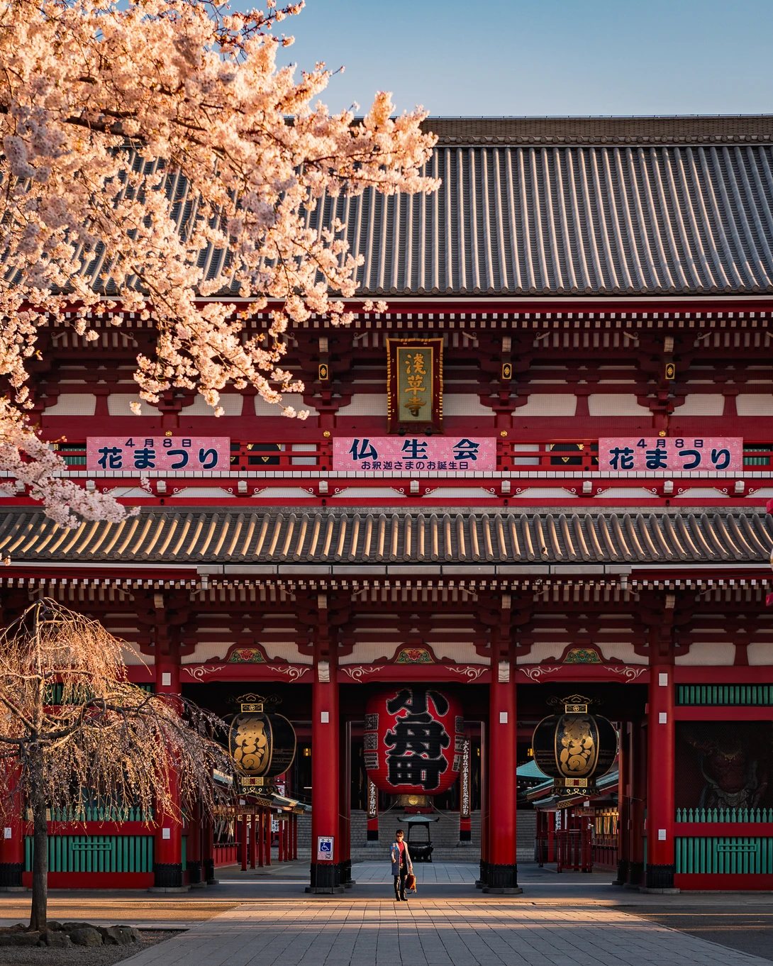 View 18528301afa7ef848ca3ebbc4099faf8.jpg by Jordan McChesney