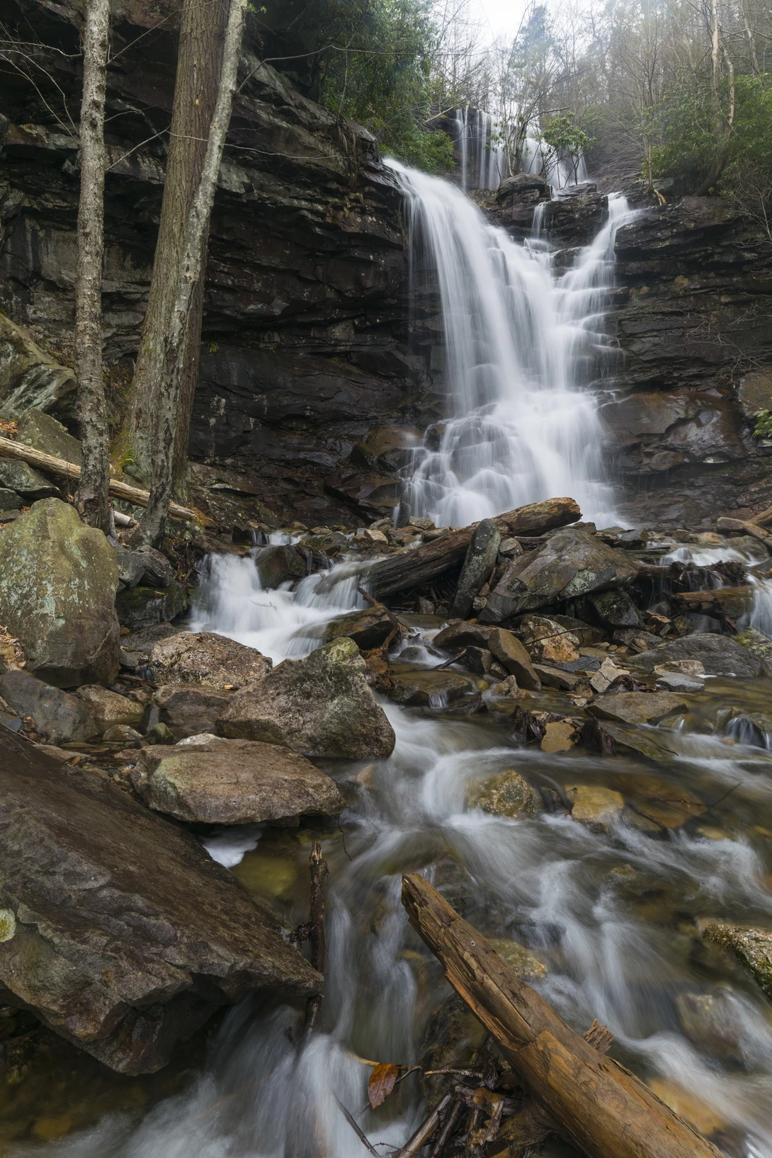 View 1f51d33352358ec525776162f0c02ed9.jpg by joseph cole