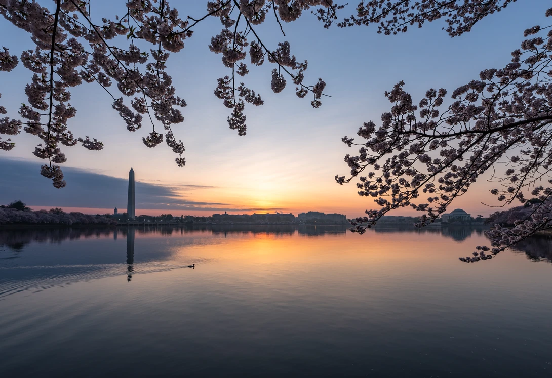 View 205b60ec44c7a883647100776e229ba2.jpg by Josh Sanders