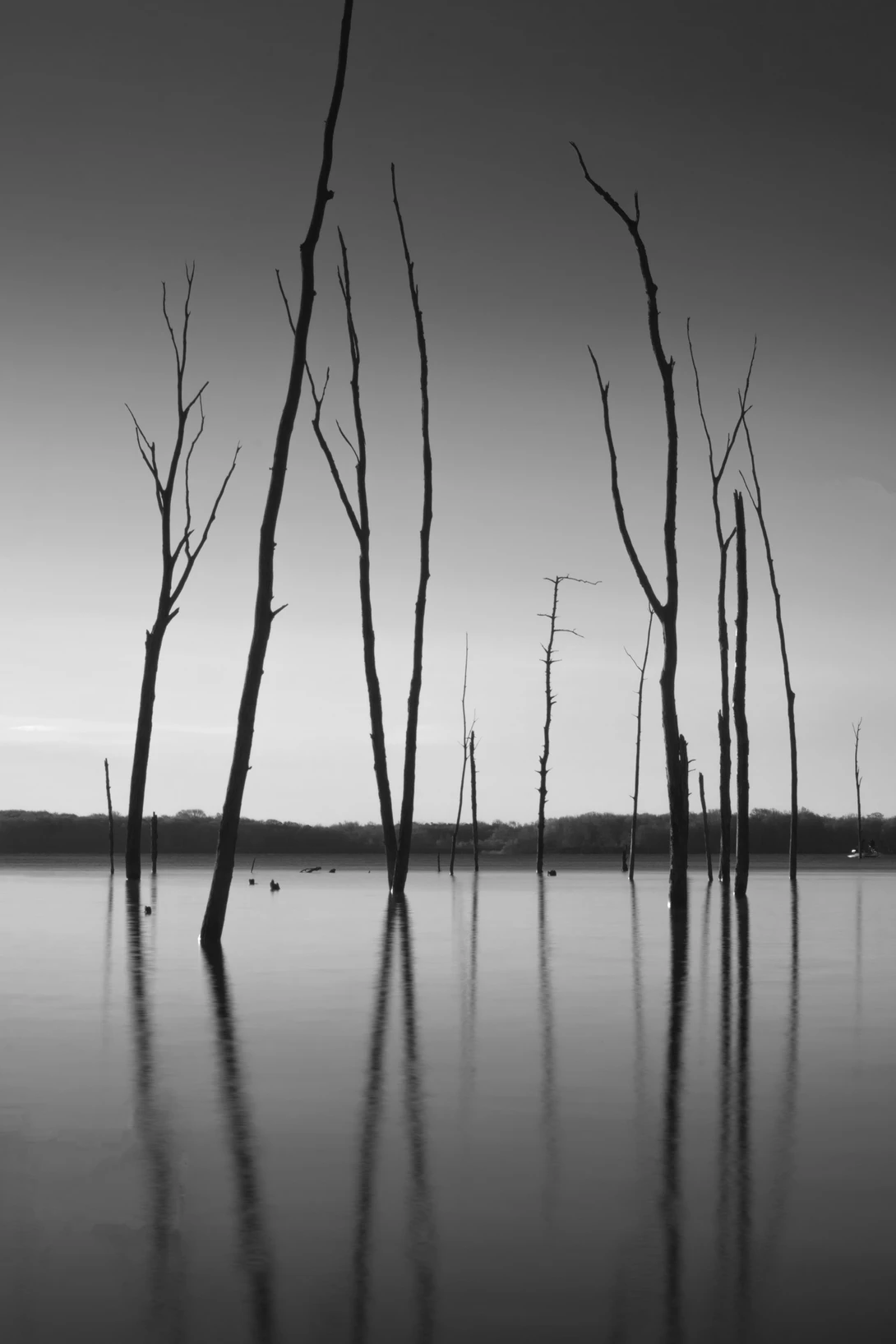 View 233105c6300b8f6f4d87375b1479a46e.jpg by joseph cole