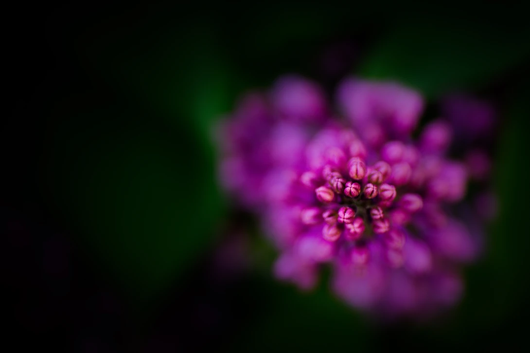 View 242cc786e711d04313240e75d5b07c55.jpg by Ruth Carll