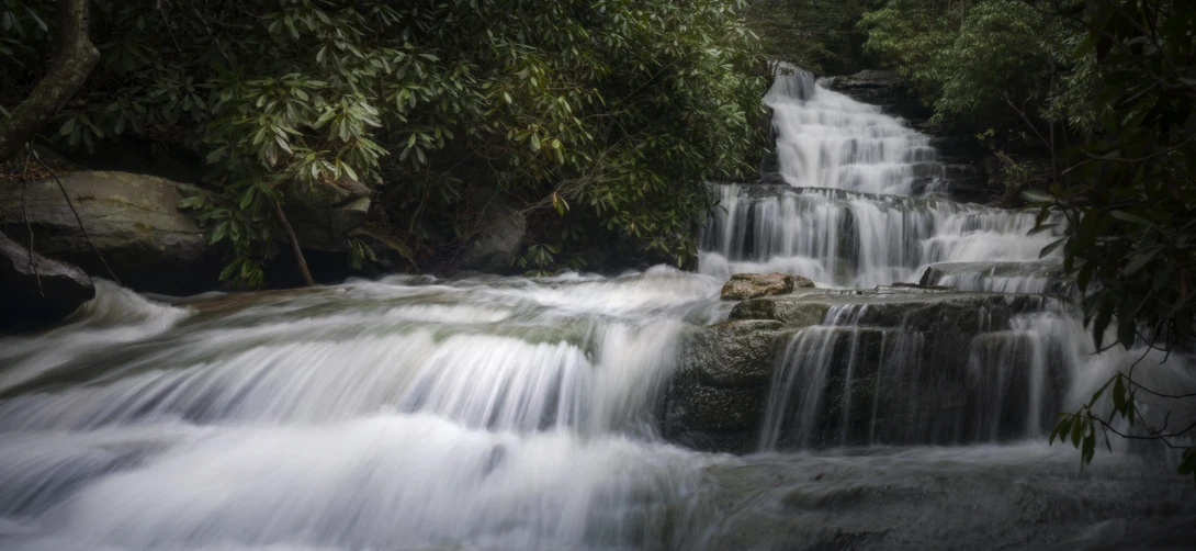 View 27ab583b8049287a378e170cf82df0f0.jpg by joseph cole