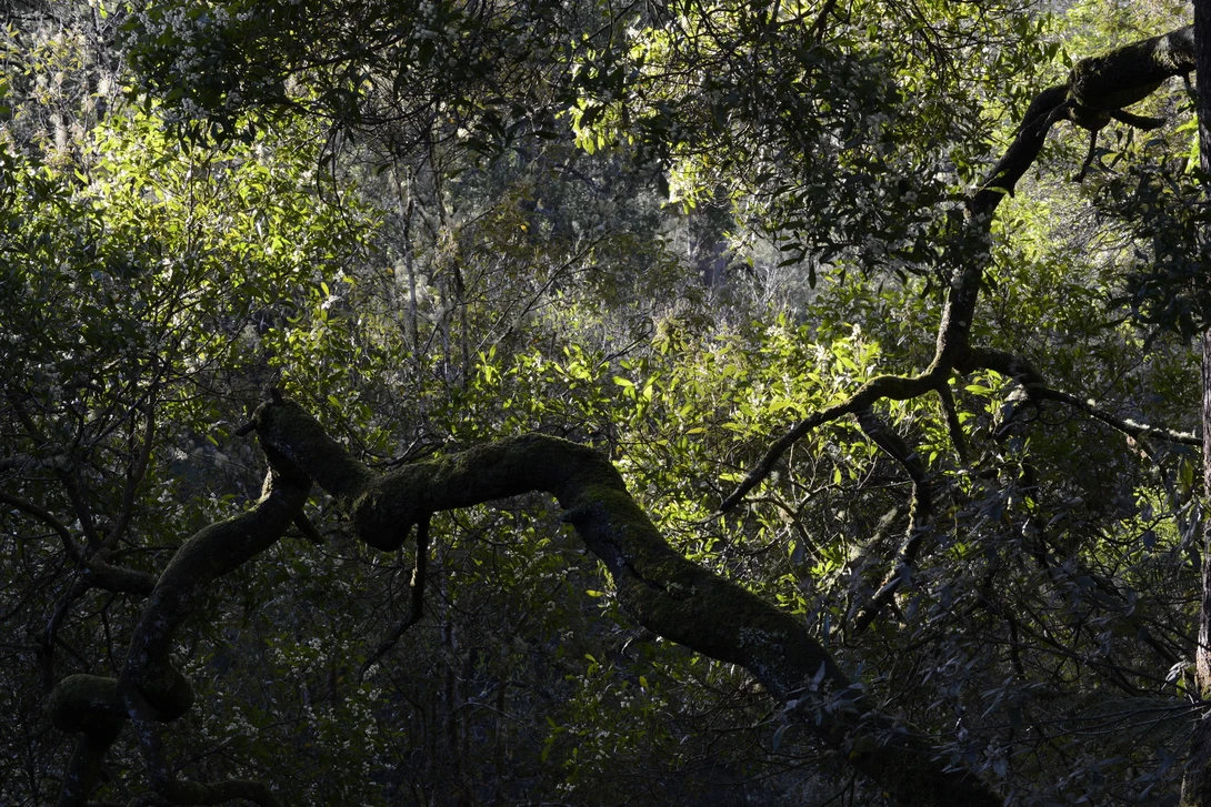 View 2c371b2c92cd22f8e995139c0c32810b.jpg by Chris Jablonski