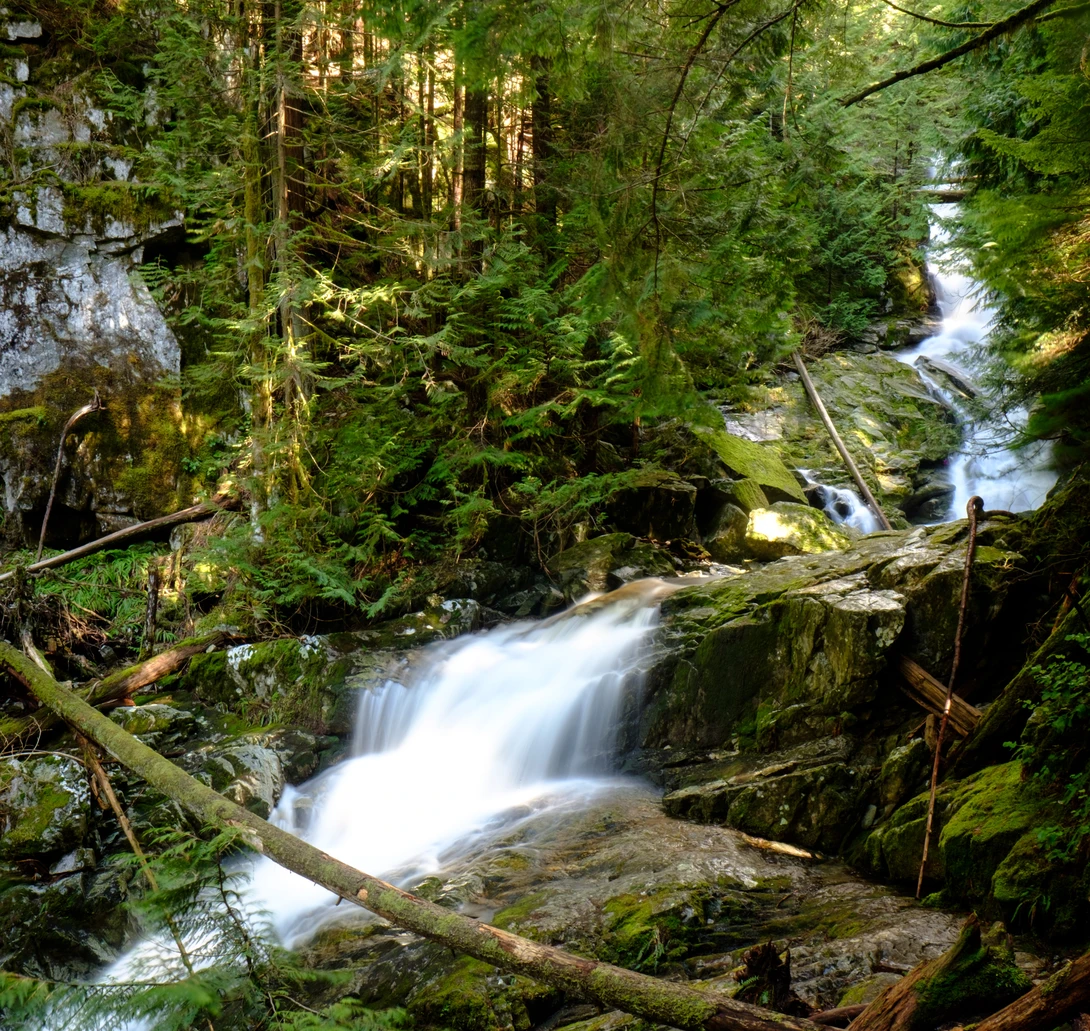 View 3016de5d684f2ee50ba3f21793b4ccb4.jpg by Scott Steinson