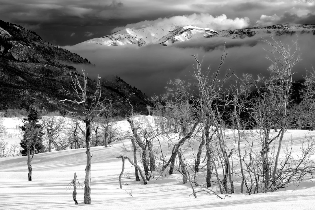 View 39fa435a75ba3ae1896409a0c8fdedd0.jpg by Mark Seawell