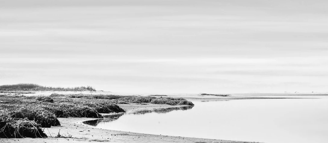 View 4e533dd0f6c5e2b2d45ae1bba81503fa.jpg by Ruth Carll