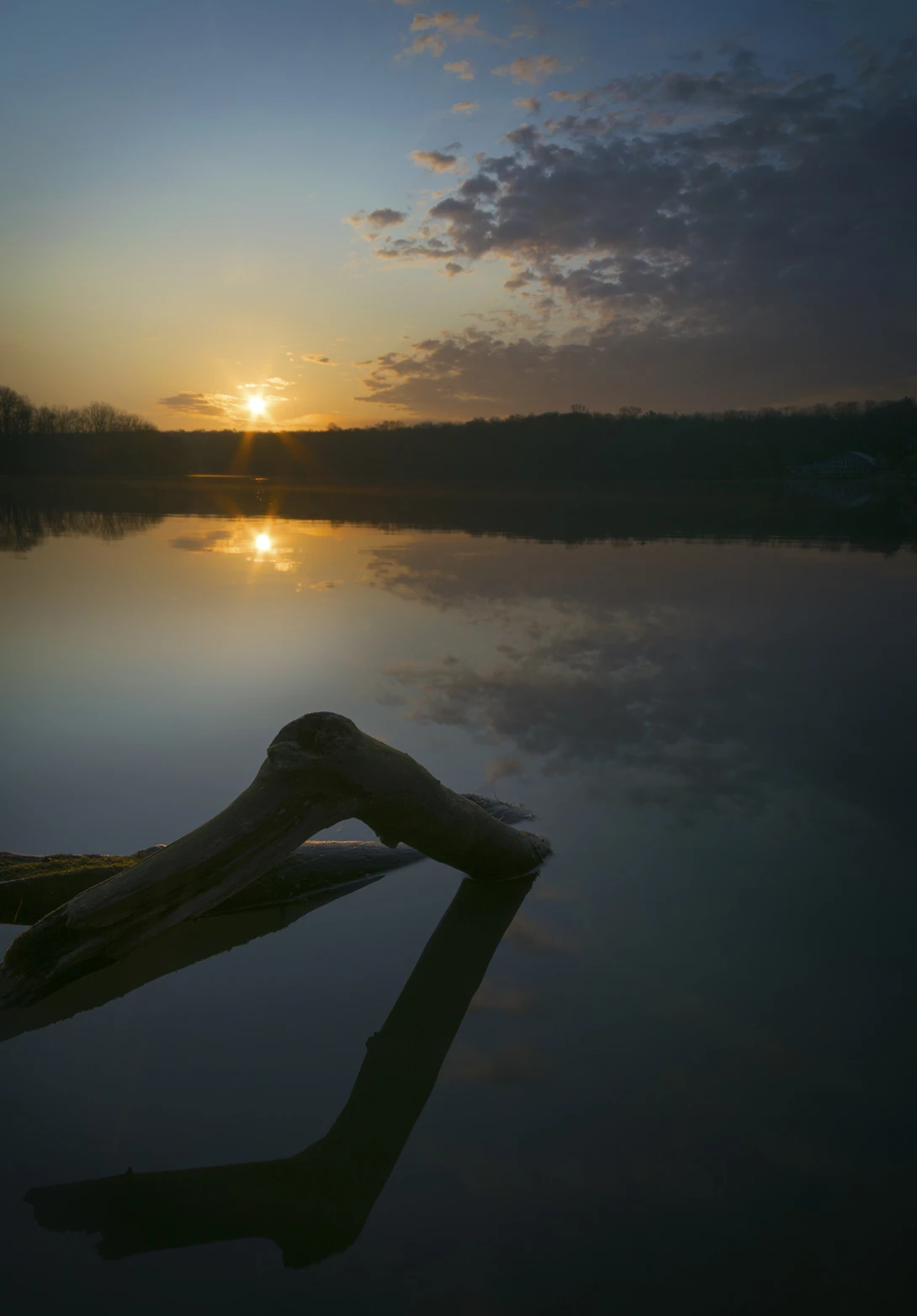 View 5670300be83aa6b24350ce0c611c81bf.jpg by joseph cole