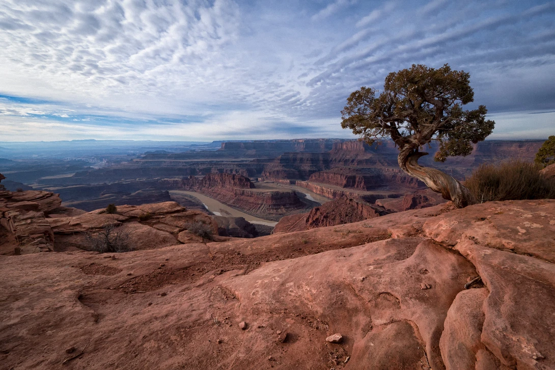 View 5a4721991d1fc97f676904be7272e902.jpg by Mark Seawell
