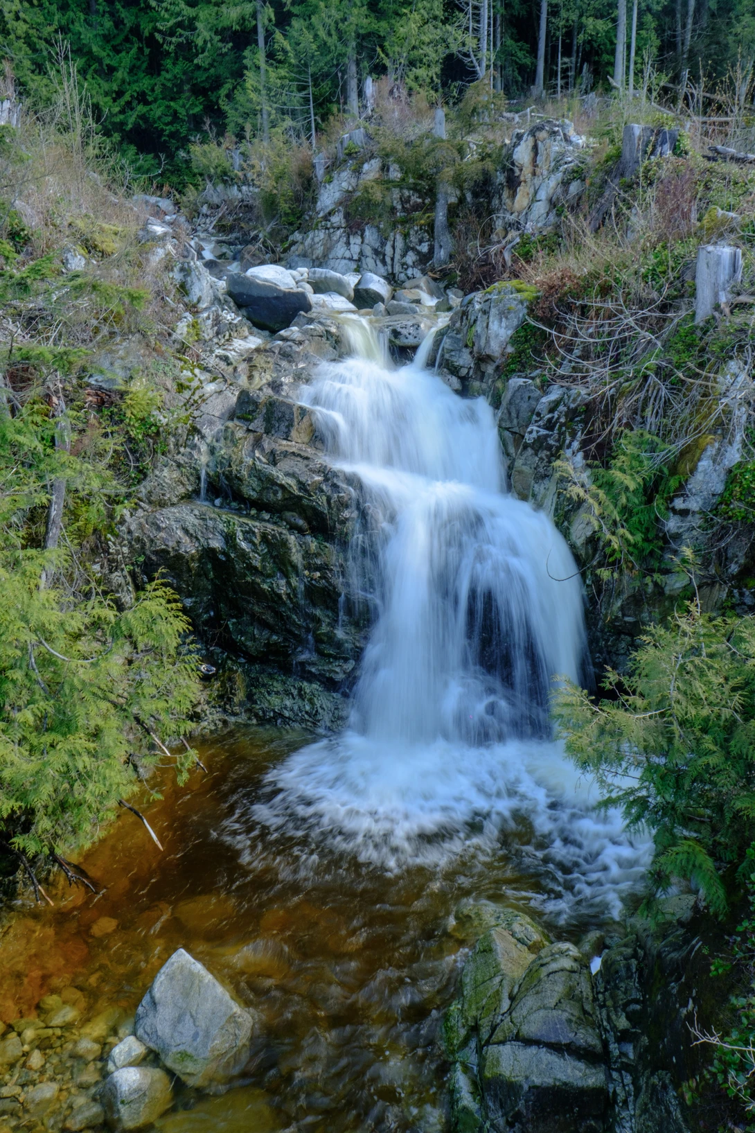 View 6832d6e132ac4b54f57044ee10a7c52b.jpg by Scott Steinson