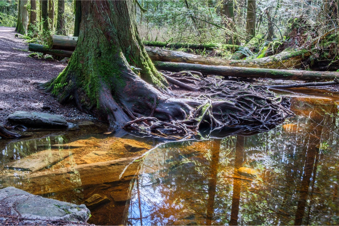 View 734ba8c66ec0a9c8a320473a77a649cf.jpg by Scott Steinson