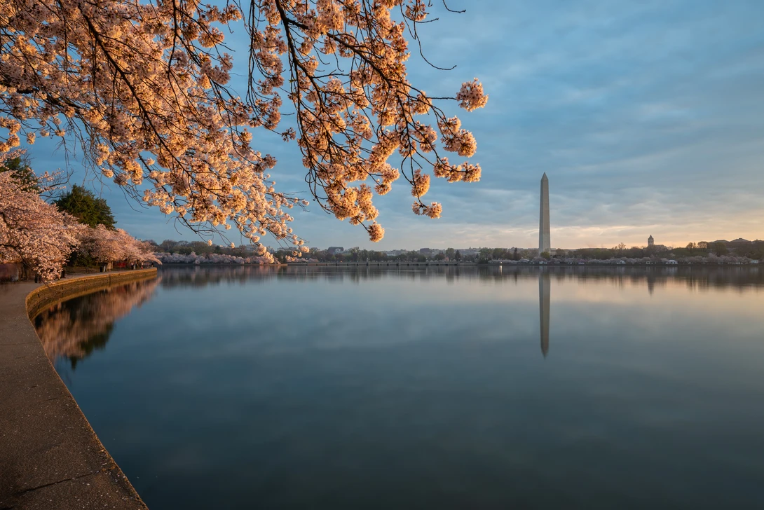 View 768f4cfcd7609637e8926508ea19b302.jpg by Josh Sanders