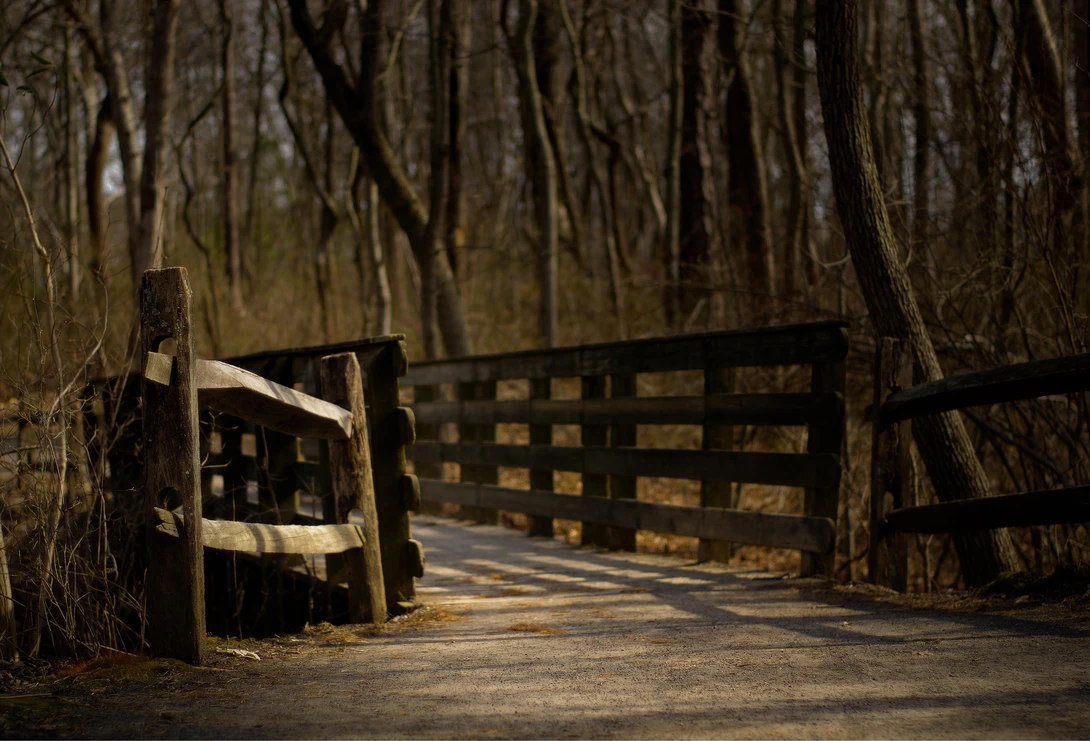 View 76edc328b5d31294d17a0d7e385bad51.jpg by Ruth Carll