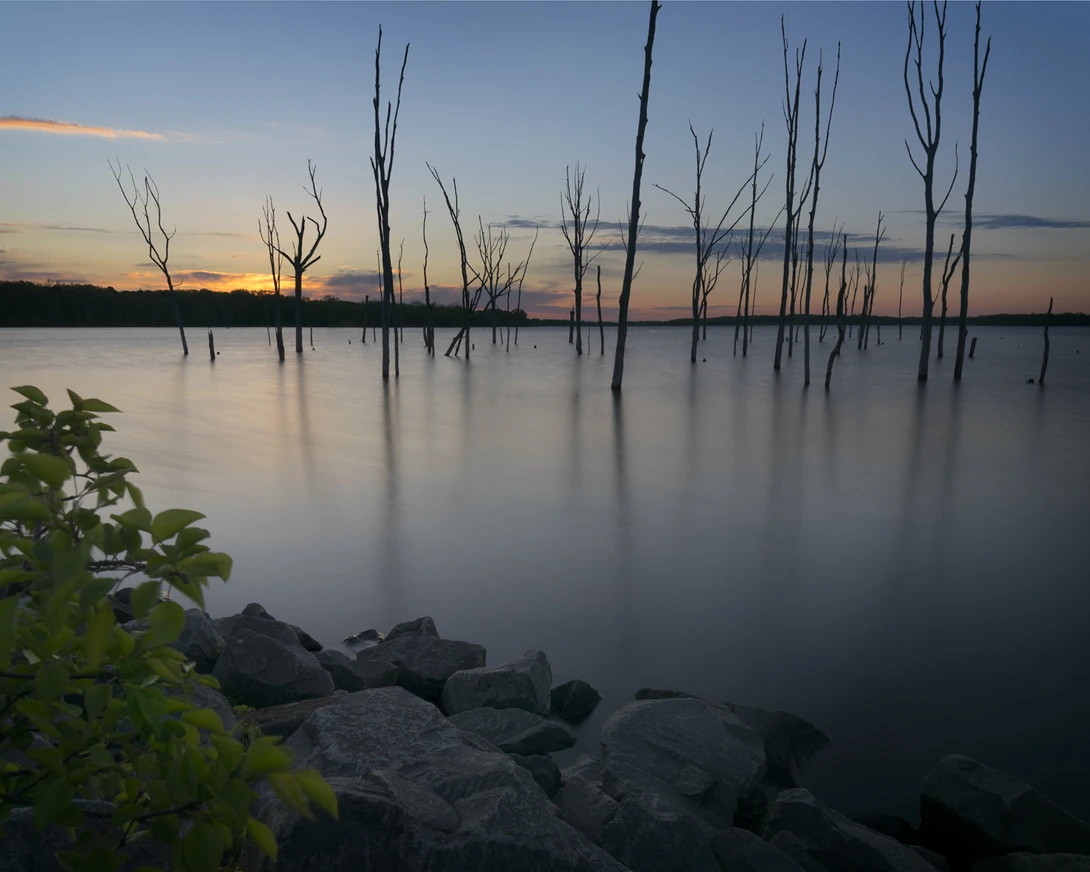 View 800d4587447173aa28adeabcd9bbb7b8.jpg by joseph cole