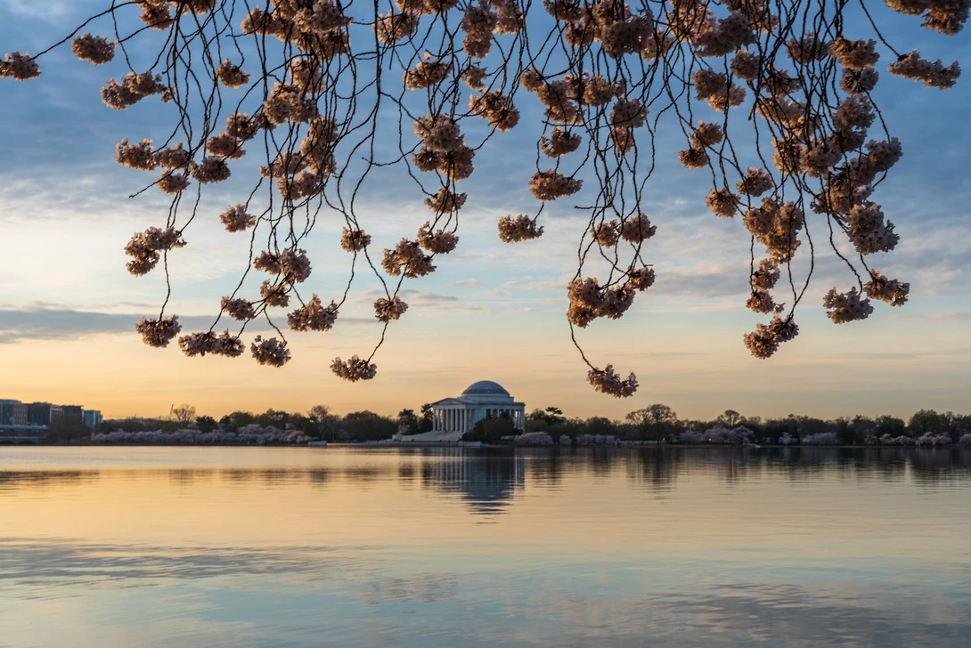 View 8c1105dfd0dd8399fe031a2d26d8816b.jpg by Josh Sanders