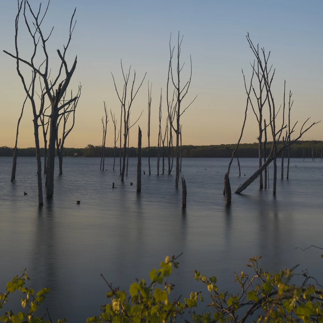 View 948ee131a89fe4ba2008e31e7fac7345.jpg by joseph cole
