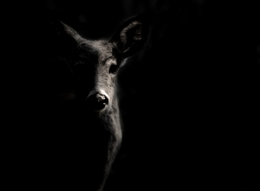 View 9b5a5467f22f8eef1937b20925a65e31.png by Ruth Carll